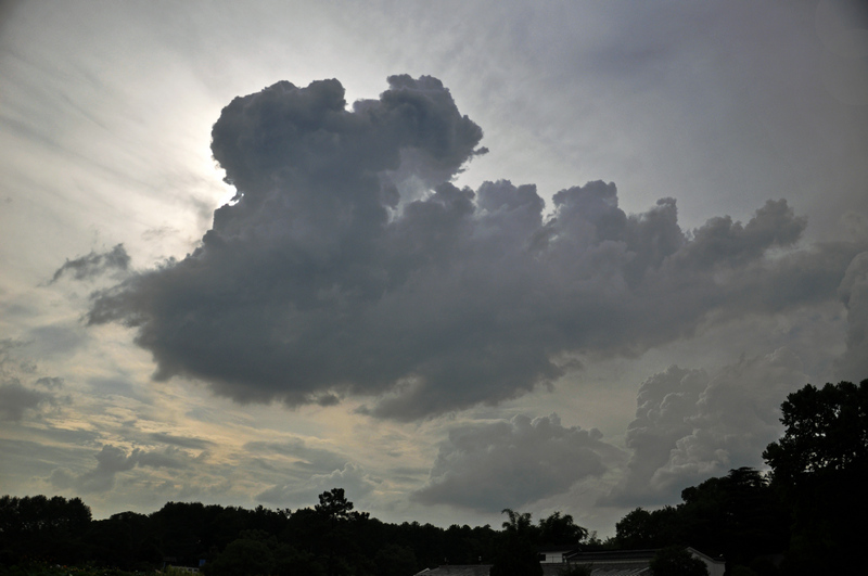 dsc_8587.jpg