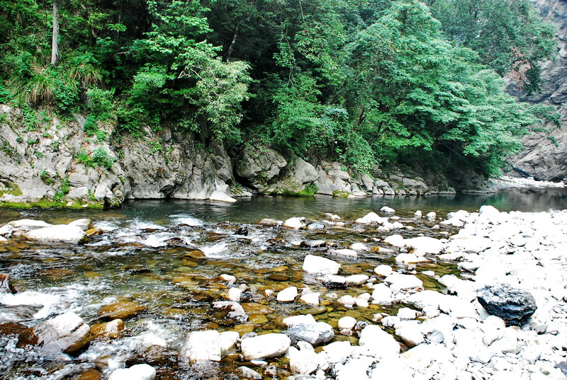dsc_0607.jpg