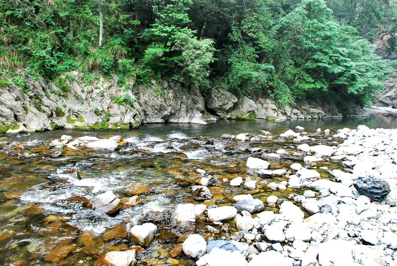 dsc_0608.jpg