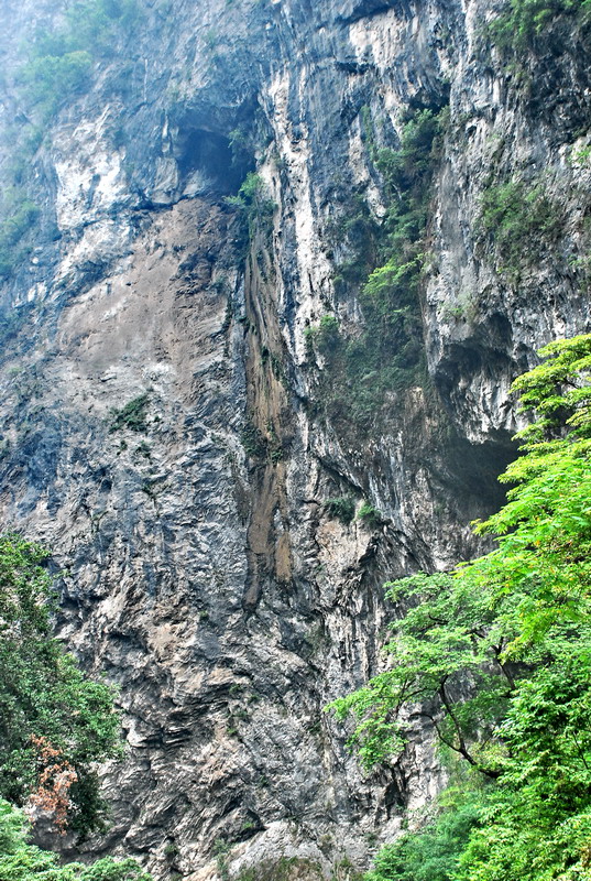 dsc_0613.jpg