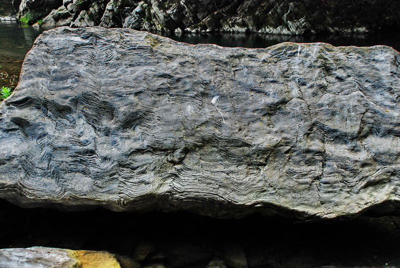 dsc_0616.jpg