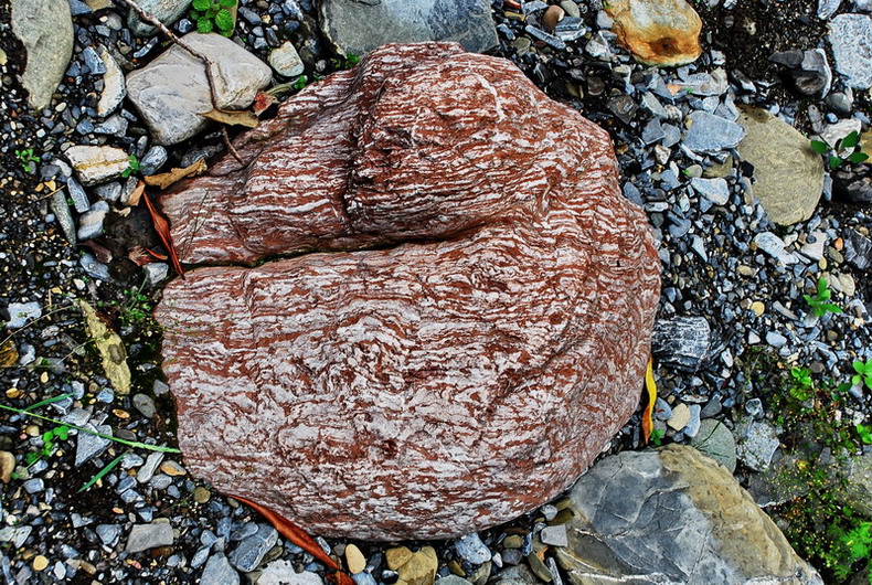 dsc_0615.jpg