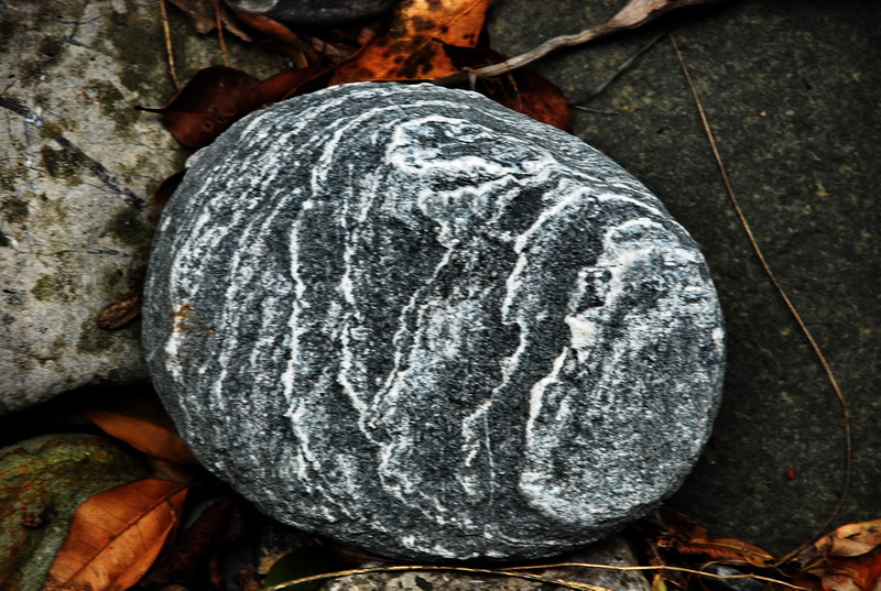 dsc_0621.jpg