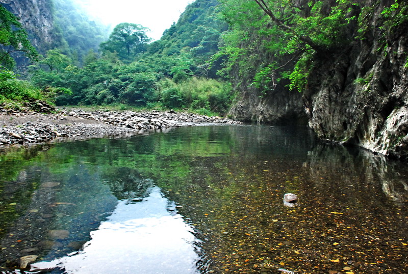 dsc_0622.jpg