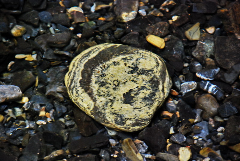 dsc_0624.jpg