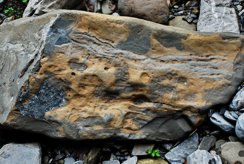 dsc_0597.jpg