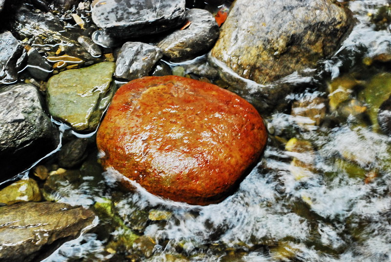 dsc_0630.jpg