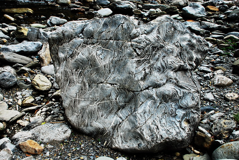 dsc_0595.jpg