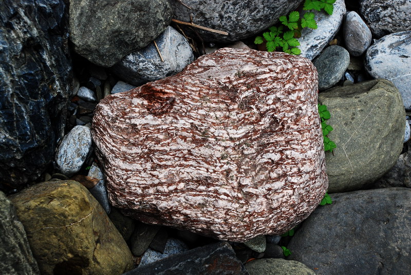dsc_0637.jpg