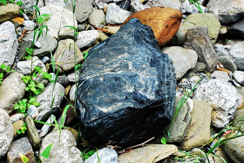 dsc_0638.jpg