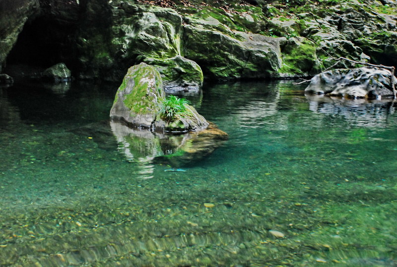 dsc_0639.jpg