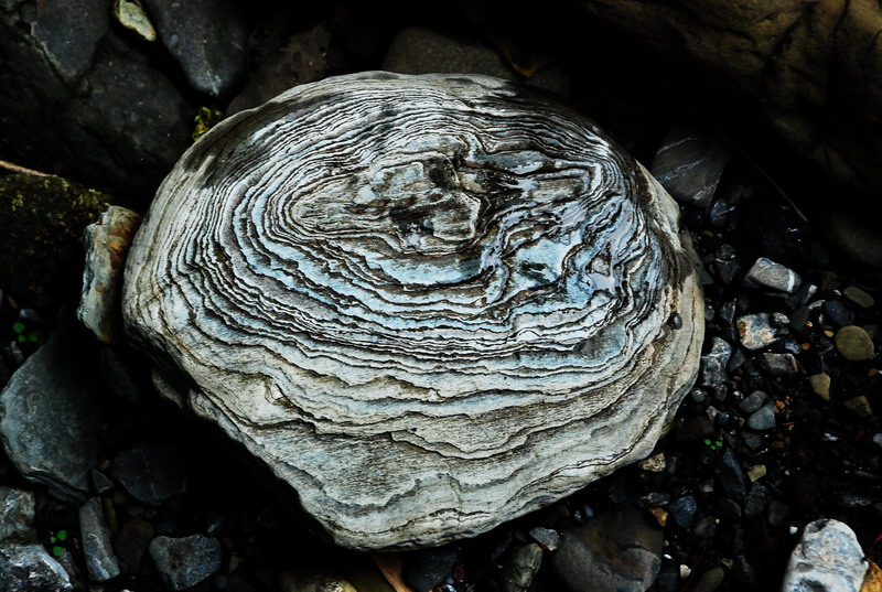 dsc_0598.jpg