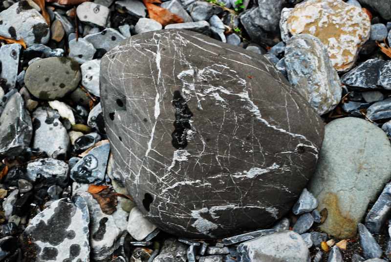 dsc_0647.jpg