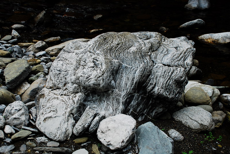 dsc_0603.jpg
