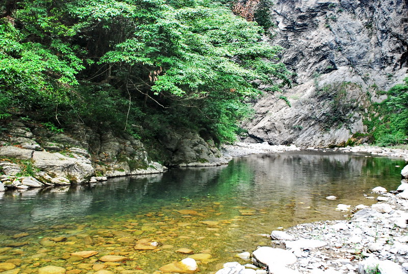 dsc_0604.jpg