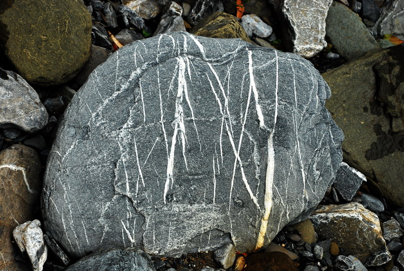 dsc_0606.jpg
