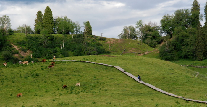 dsc_0988-1-1.jpg