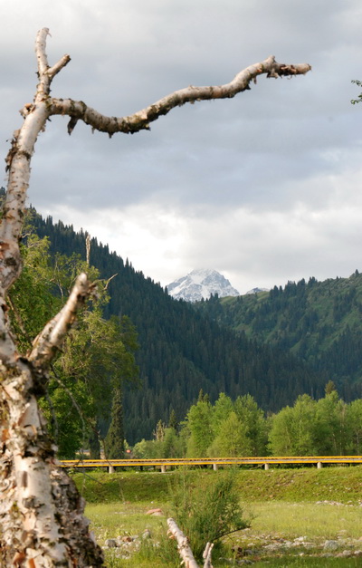 dsc_1025-1-1.jpg