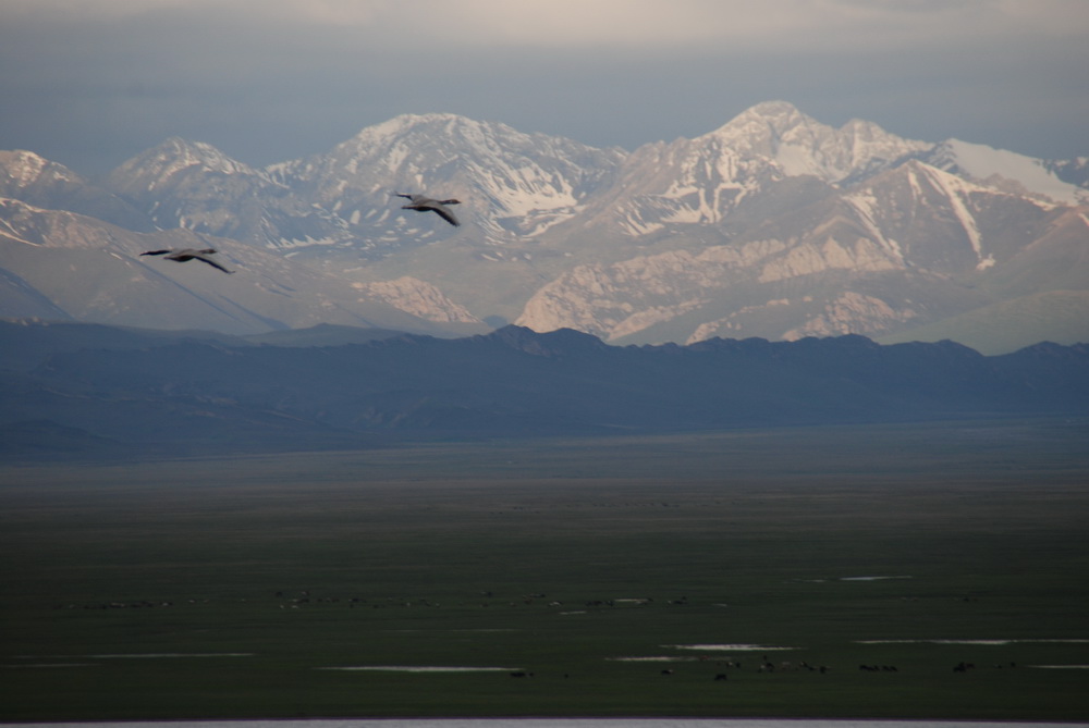 dsc_0187-1.jpg
