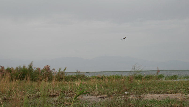 dsc_0226-1.jpg