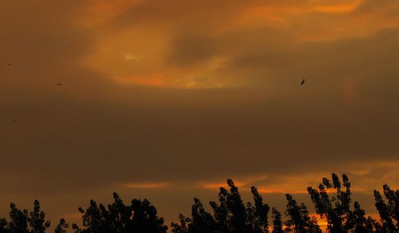 img_1489-204.jpg