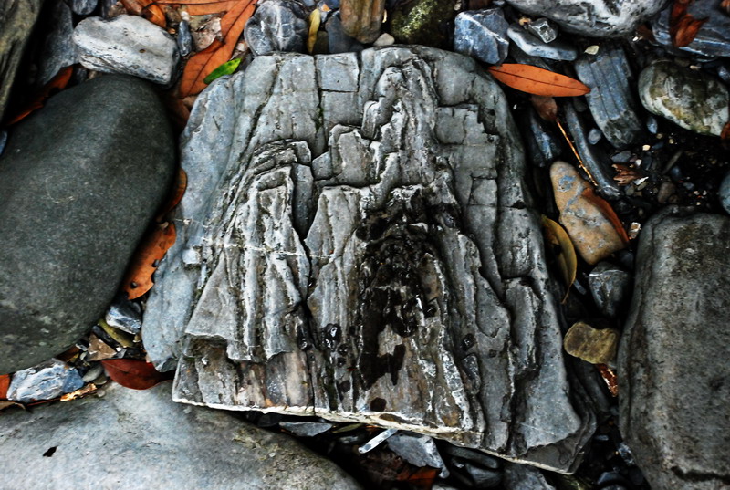 dsc_0652.jpg