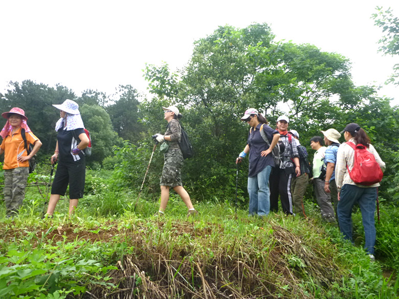 p1060991_.jpg