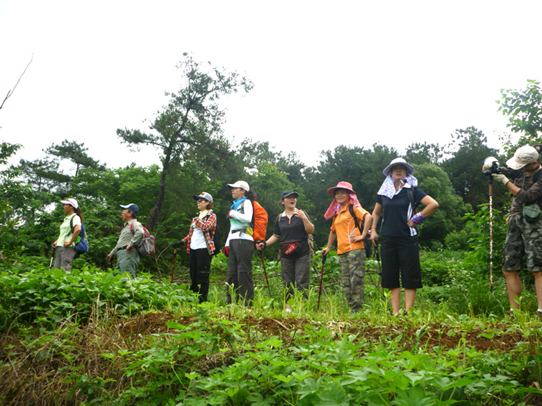 p1060992_.jpg