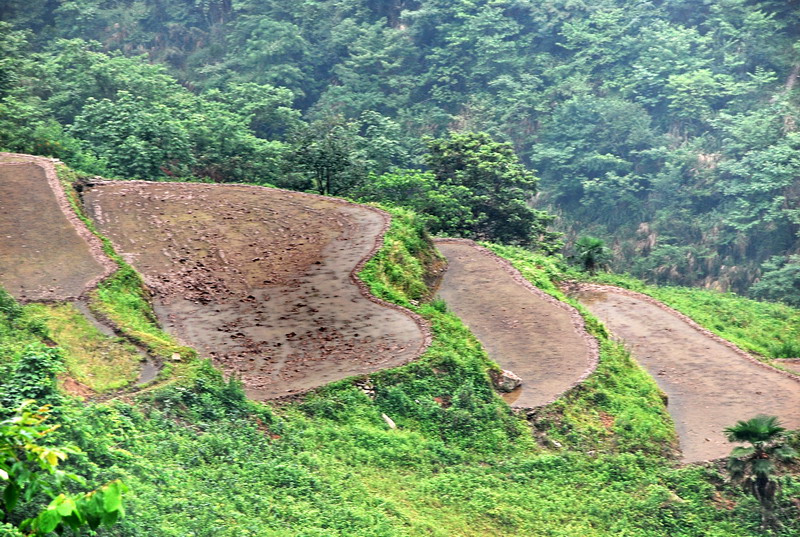 dsc_0674.jpg
