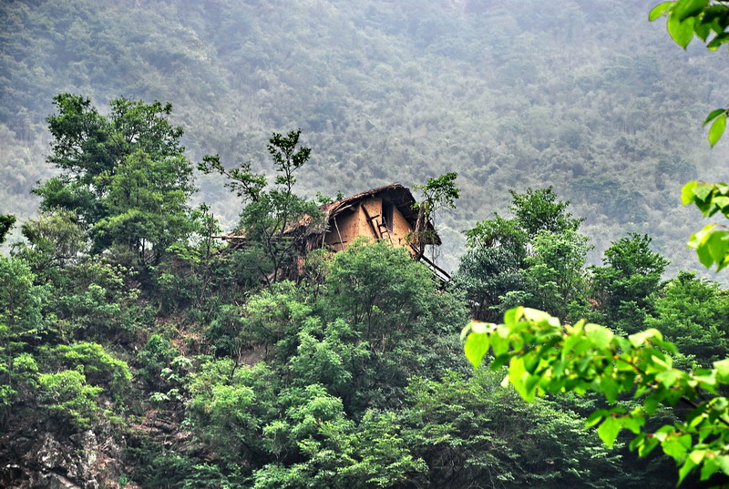 dsc_0678.jpg