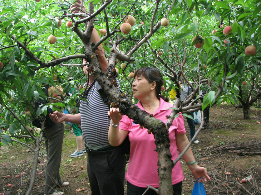 Ů 052.jpg