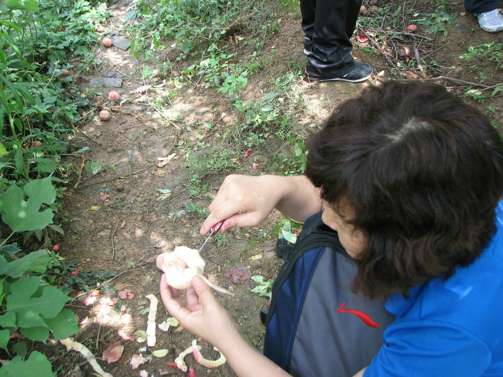 Ů 070.jpg