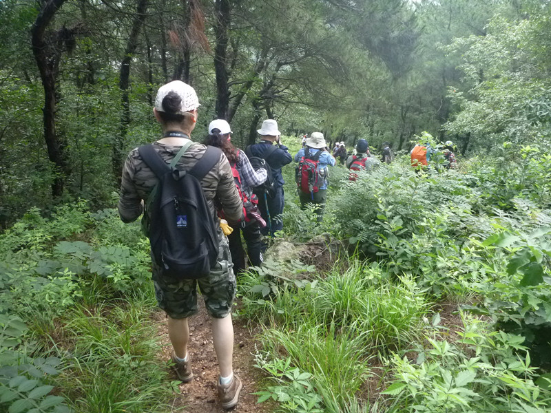 p1060996_.jpg