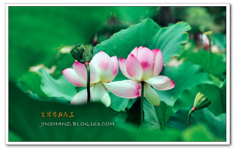 neo_img_pdsc_6611.jpg