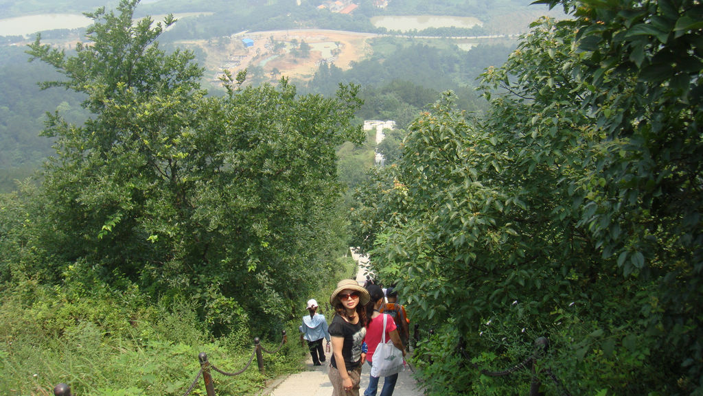 dsc04736.jpg