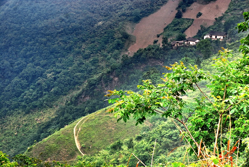 dsc_0700.jpg