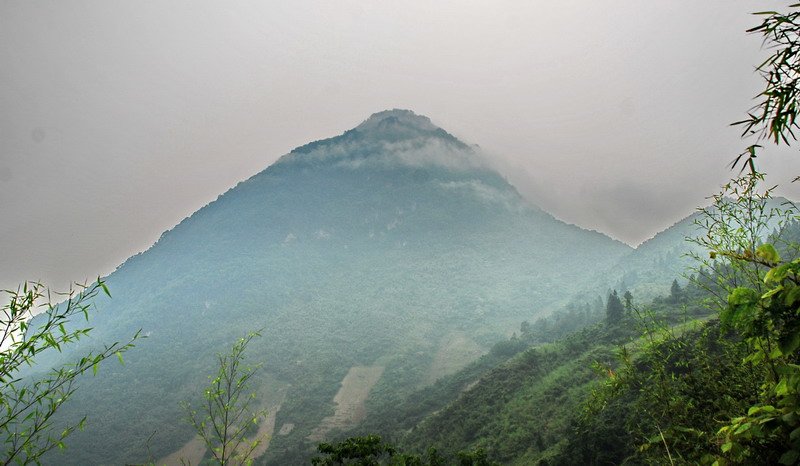 dsc_0702.jpg