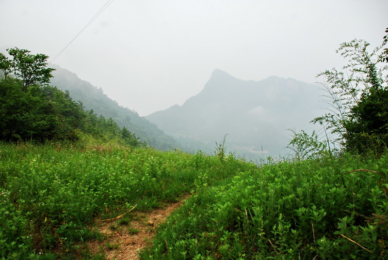 dsc_0745.jpg