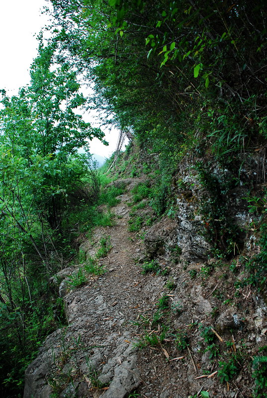 dsc_0746.jpg