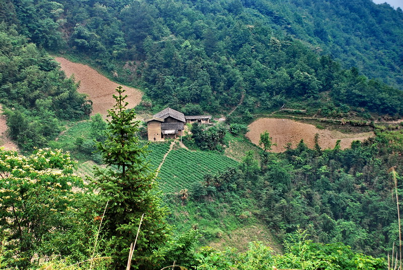 dsc_0763.jpg
