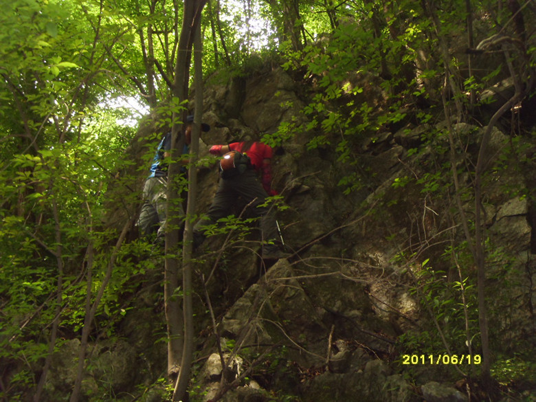 sdc12290_.jpg