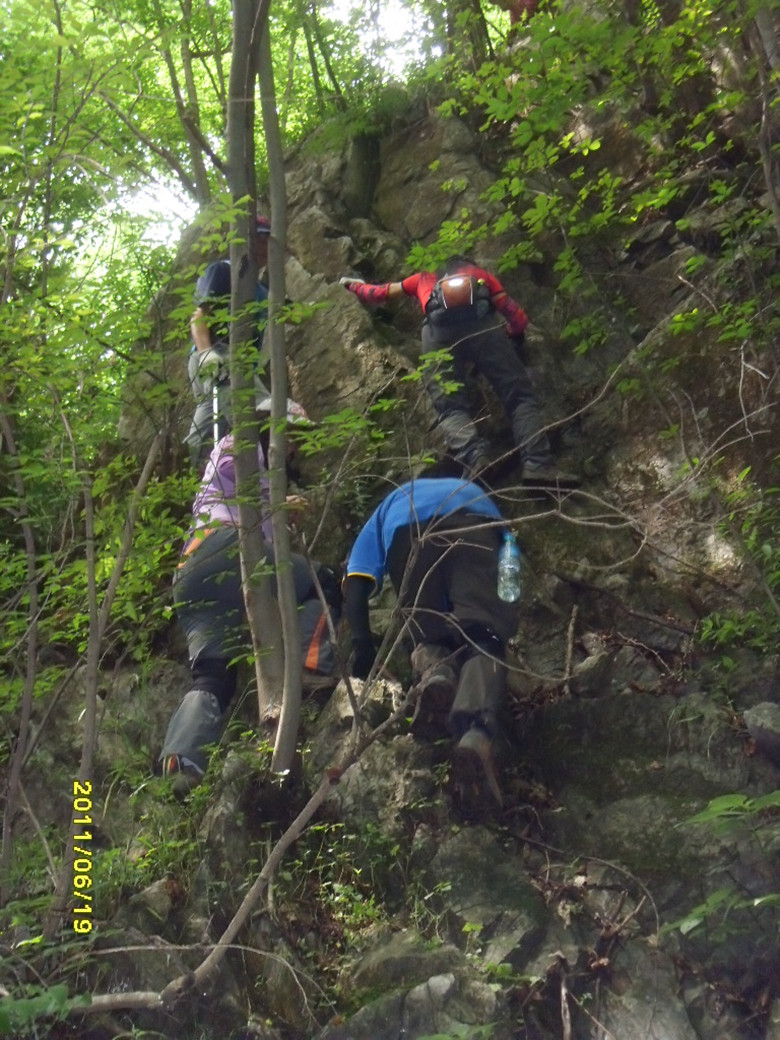 sdc12292_.jpg