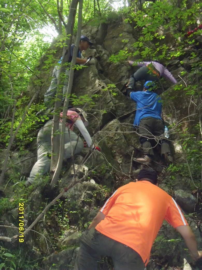 sdc12293_.jpg
