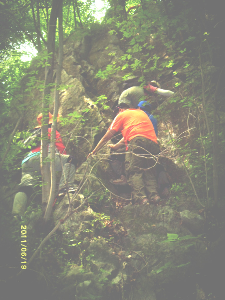 sdc12296_.jpg