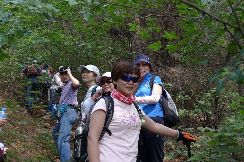 p1020935.jpg