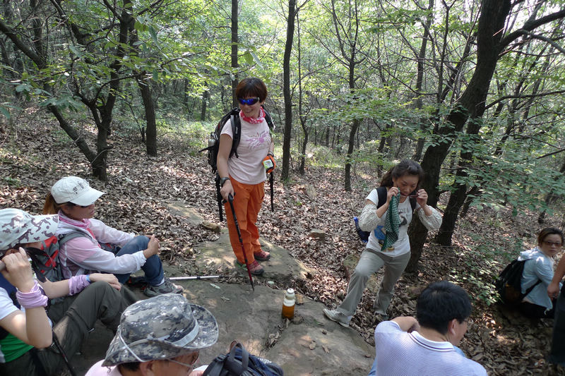 p1020938.jpg