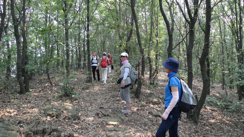 p1020940.jpg