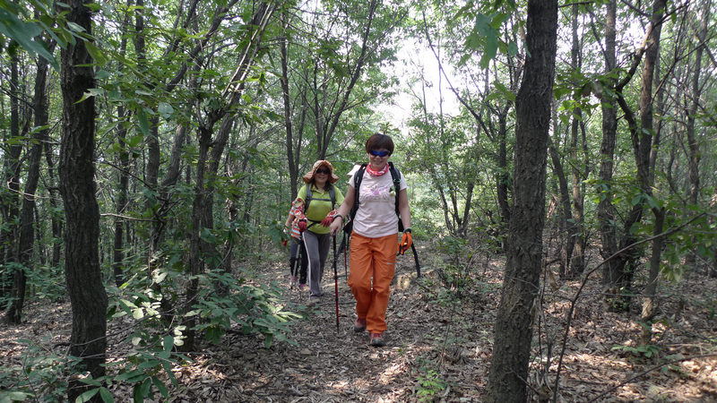 p1020942.jpg