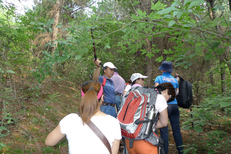 p1020931.jpg