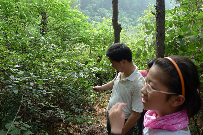 p1020932.jpg